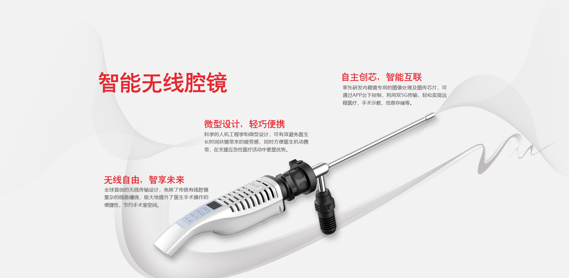 少妇性BBB搡BBB爽爽爽欧美