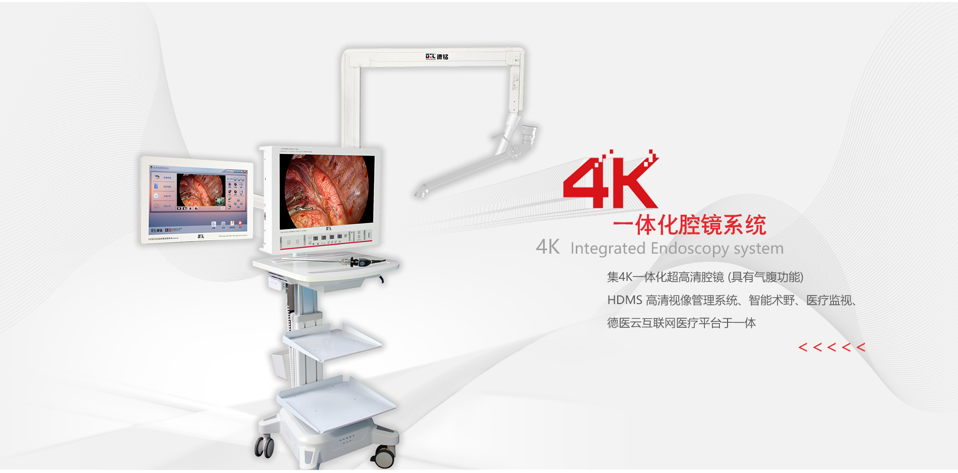 少妇性BBB搡BBB爽爽爽欧美