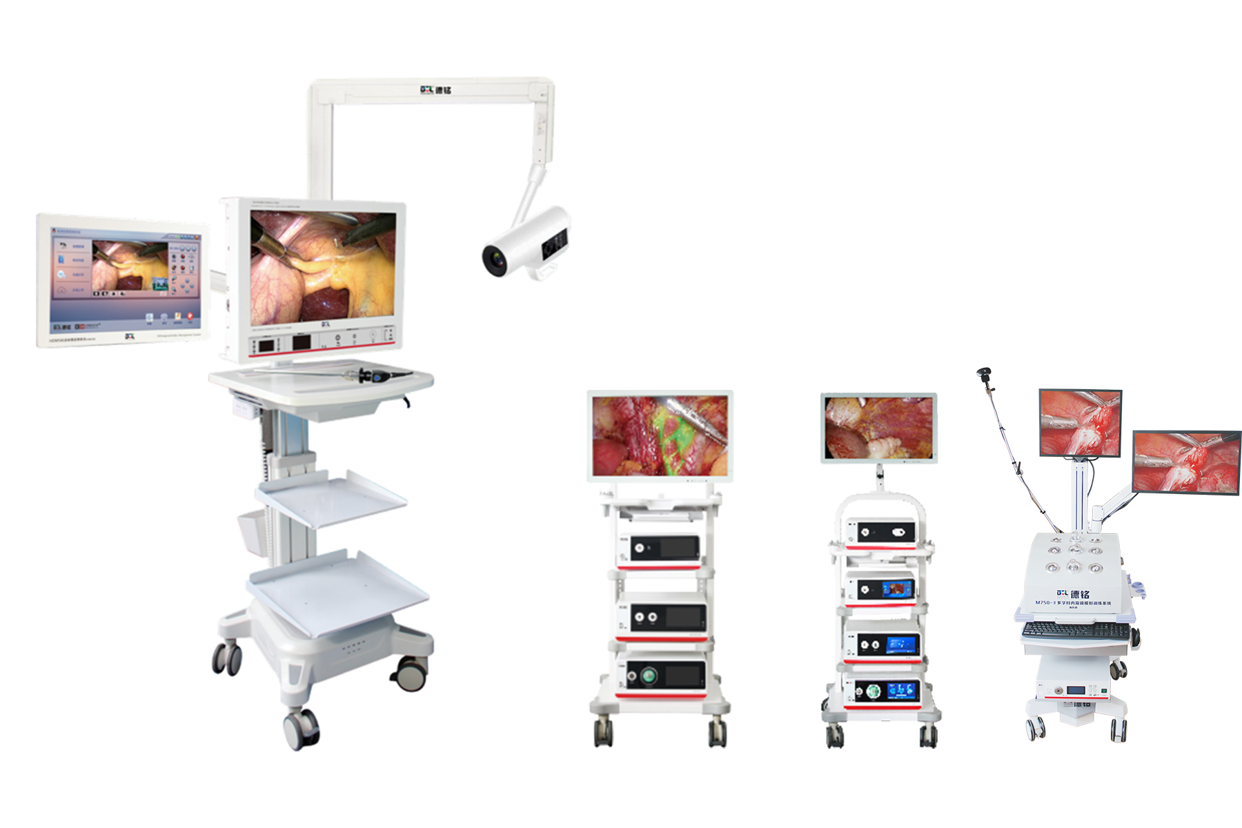 少妇性BBB搡BBB爽爽爽欧美