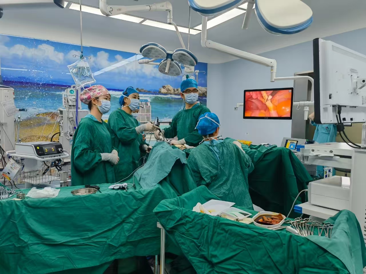 少妇性BBB搡BBB爽爽爽欧美