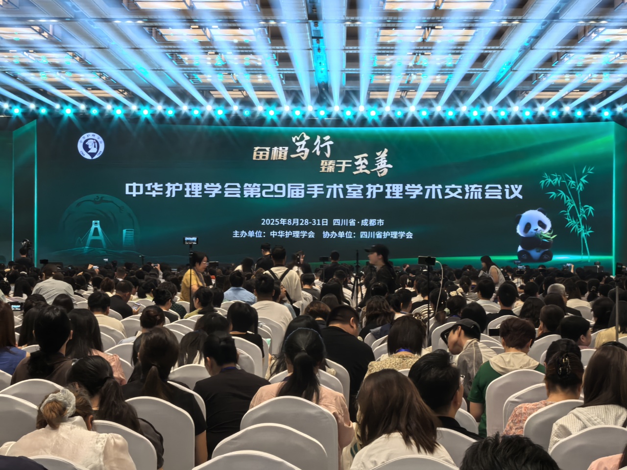 少妇性BBB搡BBB爽爽爽欧美